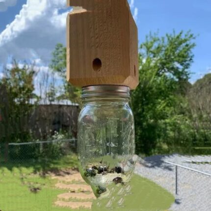 Piège à insectes en bois. Piège à mouches des fruits en plastique